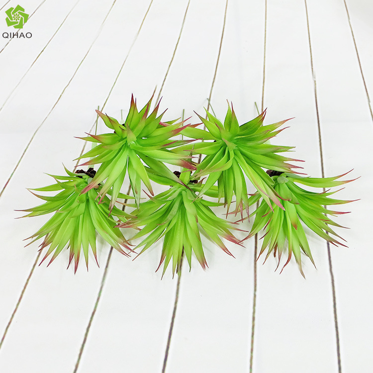 仿真植物菱角草 多肉植物热带雨林风格植物墙配材假剑叶草 亚马逊