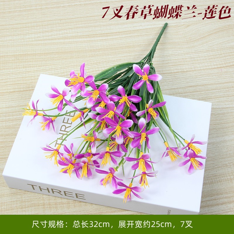 Spring grass Phalaenopsis lotus