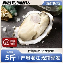 տ������r��5���ش��10���b��2����S���]���r���r����ĵϠ����