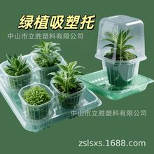 吸塑包装盒子批发 快递运输植物吸塑托盘 花卉绿植吸塑内托塑料盒