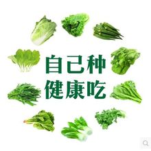 �S�����l�~�˷N��ԭ�b�߲˷N���̨���Դ����׳ɻ�߮a�ļ����N