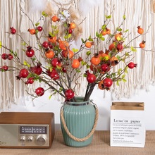 石榴干枝仿真水果果实仿真花厂家家居装饰路引花墙假花MW10884