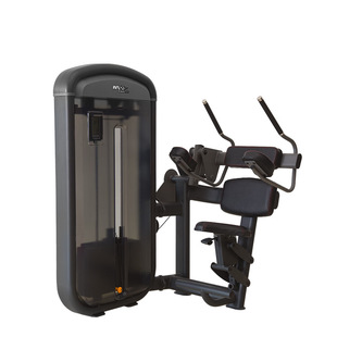WNQ (Evergreen) Fitness Equipment Home Commercial Luxury Abs Trainer Gym Strength Station F1-7007