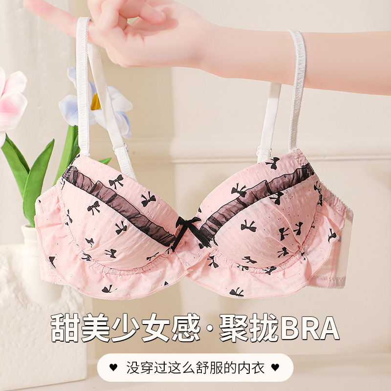 New Butterfly Print Girl Underwear Small Breast Push-Up Light Cup Top Support Anti-Sagging Pure Desire Japanese Bra Set New Butterfly Print Girl Underwear Small Breast Push-Up Light Cup Top Support Anti-Sagging Pure Desire Japanese Bra Set