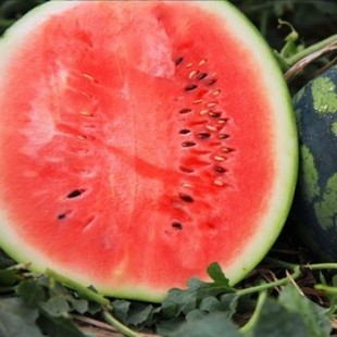 ��������������� ���l8�����r�����֭ɳȿ��Ƥ��˺��ϑ���ˮ��