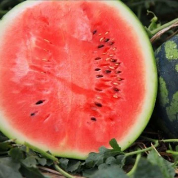 Яннань Куньмин Цилинь Арбуз 4kg Свежий, сладкий, сочный, тонкокожистый, измельченный вручную дыня Сезонные фрукты