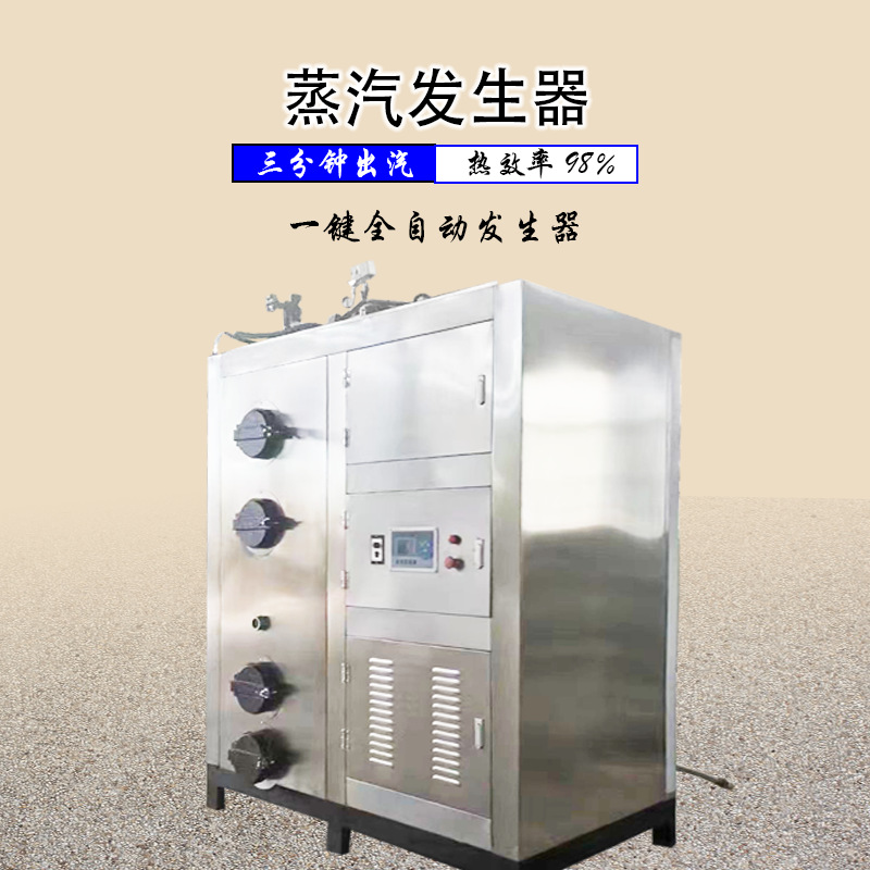 解冻配套500L生物质蒸汽发生器高温灭菌蒸汽设备养护水泥热能锅炉