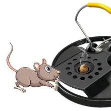 �S��ֱ�N�A�δ󷶇������҃Ƚ��ُ����`��������A���������