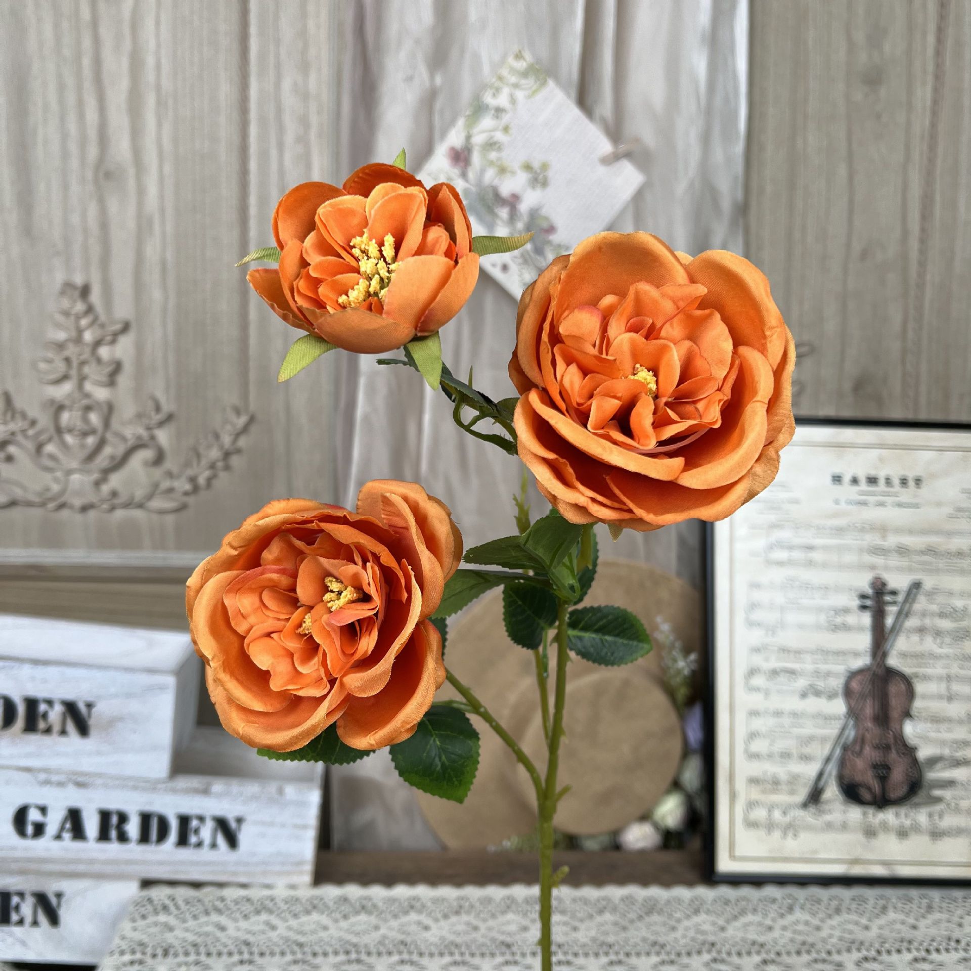 XQ-3 헤드 오스틴-오렌지