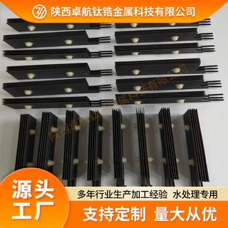 果蔬厨卫清洗臭氧电解消毒水电极 洗菜专用的钛电极钛阳极组