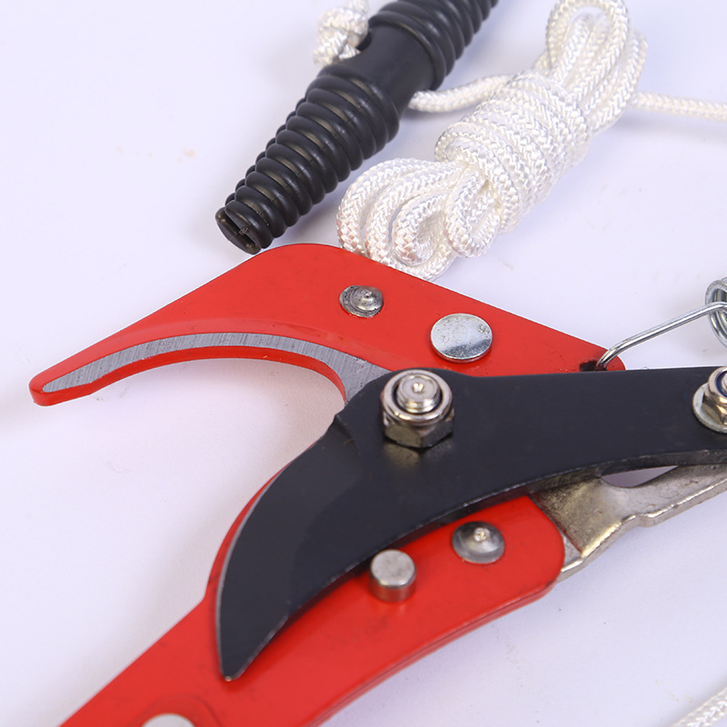 Fábrica de herramientas de jardín dos poleas cortadoras de ramas altas recolección de cuchillas de sierra de cinta de fruta hechas a mano 2 en 1 cortadoras de ramas altas