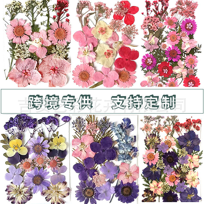 黑白系列干花押花跨境压花diy材料包贴脸美甲滴胶植物标本