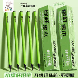 三角黑木铅笔小学生练字刷题专用不易断铅多场景使用专业素描绘画