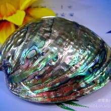 �����m�Ųʹ����Ȼ�U�~ؐ�{ɫ�U�~���ڽ��U�~�����к�ؐ������