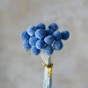 Blue (20 bouquets)