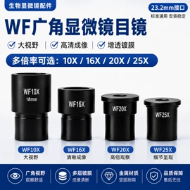 显微镜;目镜、物镜;反射镜