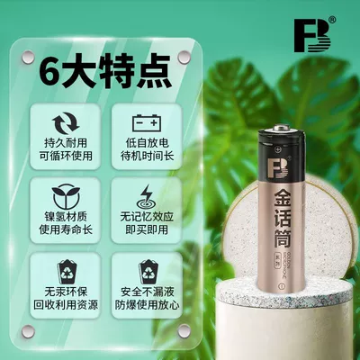 Fengbiao No. 5 Battery Rechargeable Hibrid akkumulyator batareyaları