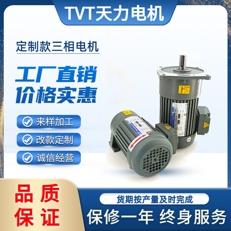 TVT减速电机三相380V220V  养殖饲料投喂机专用 调速电机马达定制