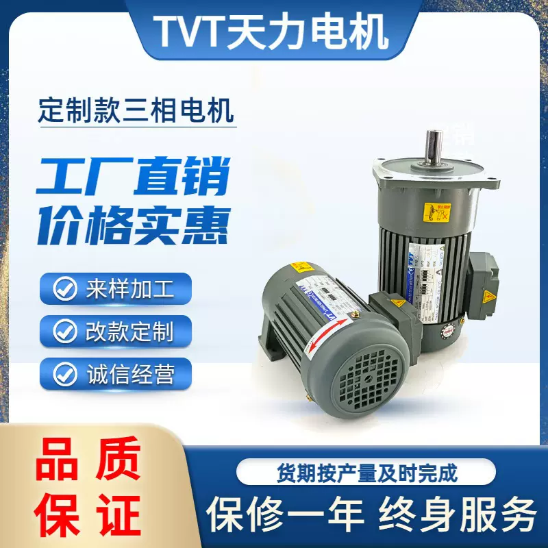TVT减速电机三相380V220V  养殖饲料投喂机专用 调速电机马达定制