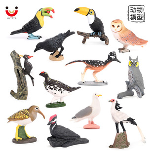 Simulation wild bird animal model toucan owl Crow Thunderbird solid static ornaments children's cognition