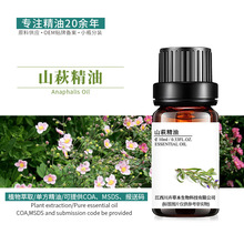 现货山萩精油 香薷棉油 植物香料单方精油原料批发 报送码 山萩油