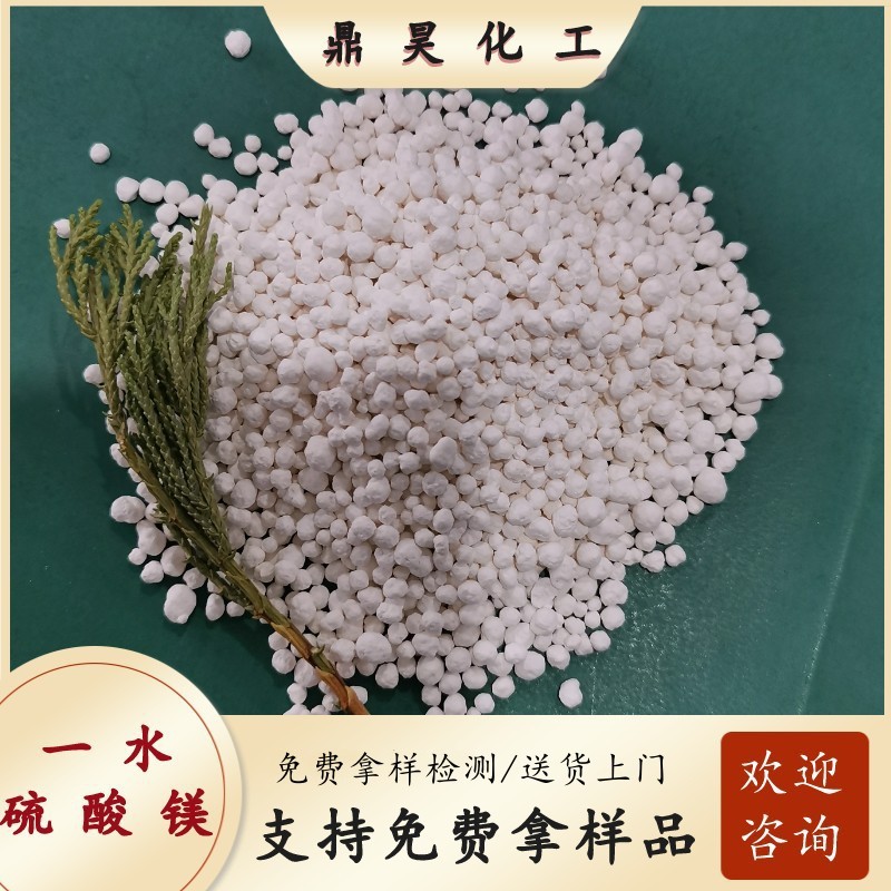 厂家现货批发硫酸镁 农业级硫酸镁 一水硫酸镁球状 99含量硫酸镁