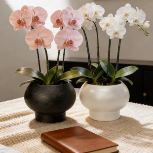 �y����������m����������������Ͱ�p�ݿ͏d�廨���������辰����