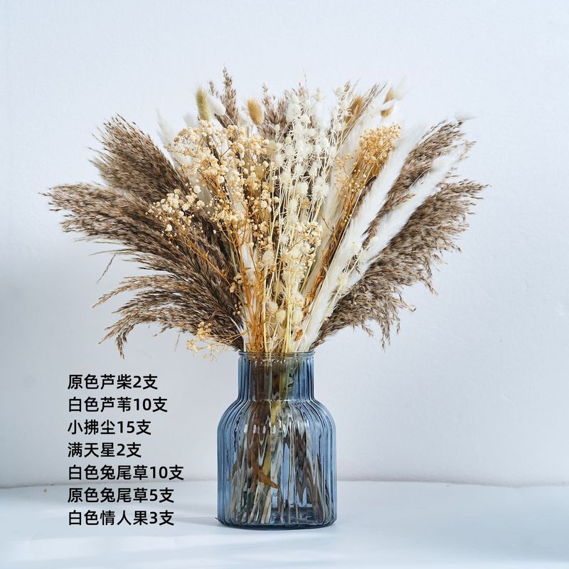 アマゾンはよく売れています。葦の花の花束です。|undefined