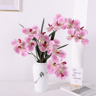 ���滨 �ָ��^�z�f���m �ҾӾƵ��cܛ�b��̷�������m�ٻ�