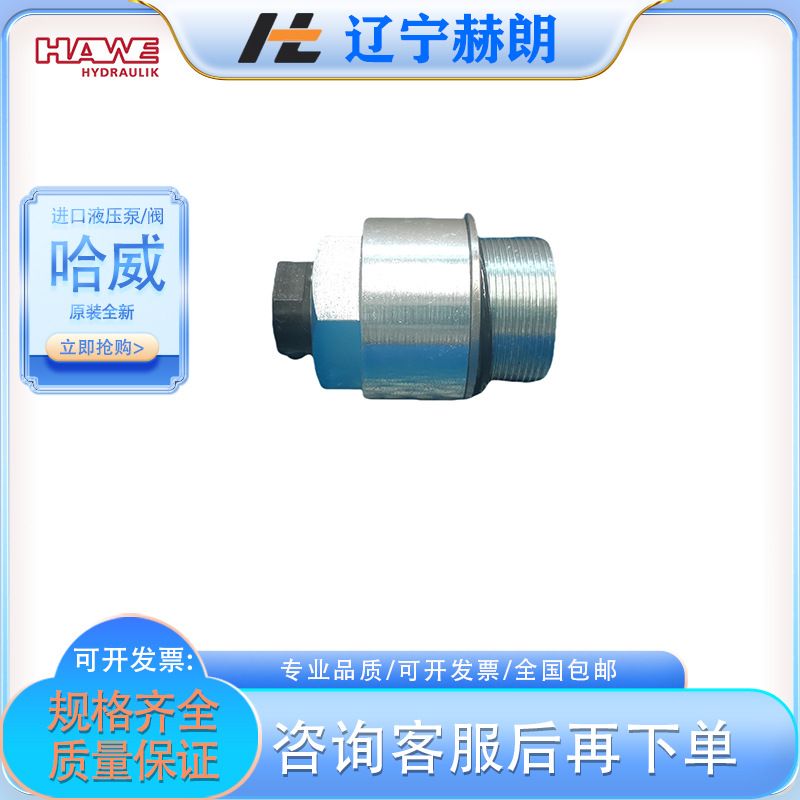 HAWE液压缸 HSE12-5液压泵油缸 德国进口品牌液压泵油缸