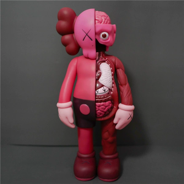 Anatomy, 37cm