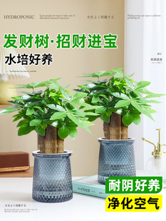 �lؔ��GֲС���Կ͏d�k���҃�ˮ����ֲؔ�ﻨ���辰�ļ����B�׻�