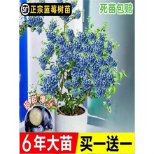 {ݮ{ݮԵԹ玧ϱNֲ۾Gʯ