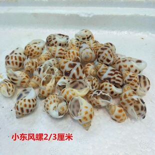 ��Ȼ����ؐ�� ΢���^�b� ��̨�쾰 ���� �ֹ�diy2/3����С�|�L��
