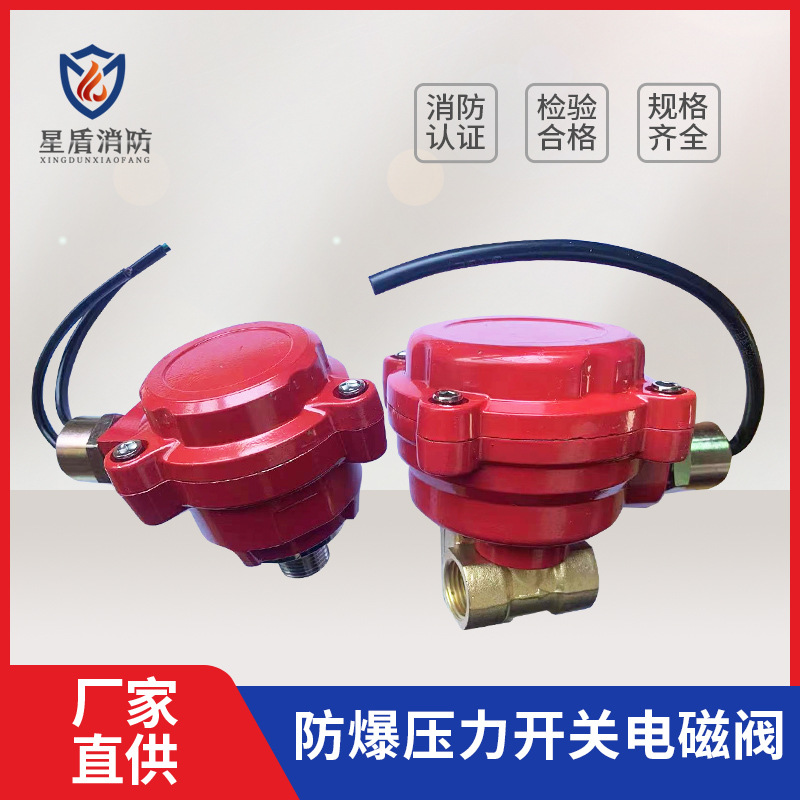 防爆压力开关 防爆电磁阀雨淋阀预作用报警阀配套DN15单双触点DC2