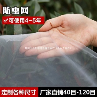 60 Mesh 80 Mesh Thickened Anti-Aging Screen Mesh Insect-Proof Net Greenhouse Plastic Pig Farm Screen Net Bayberry Window Screen Net