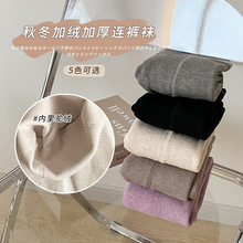 Z278儿童袜子批发秋冬季素色加厚驼绒五色连裤袜棉质保暖男女童袜