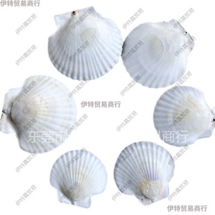 8���������ط۽z��ɫ����ؐ������ؐ�����İ뚤���бPؐ�����u