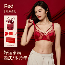 2026������tɫ����Ů�����@С����۔n���؃�ѝ���b�Y��Y����b