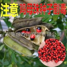 �uĸ��N�Ӻ��t�����˶���˼����ȸ����˼�Ӷ����t����N������