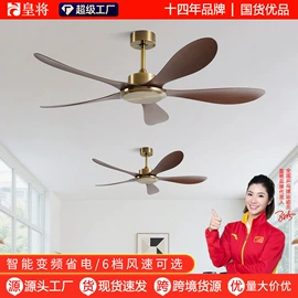 风扇灯;电风扇;吊扇