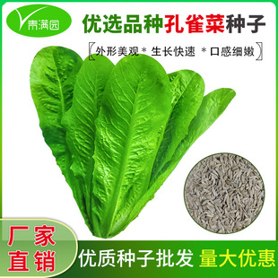 ���l��ȸ�˷N�Ӵ�ȫ���Դ���ߠI�B�ļ��_�Rֱ�������̨�߲˷N��