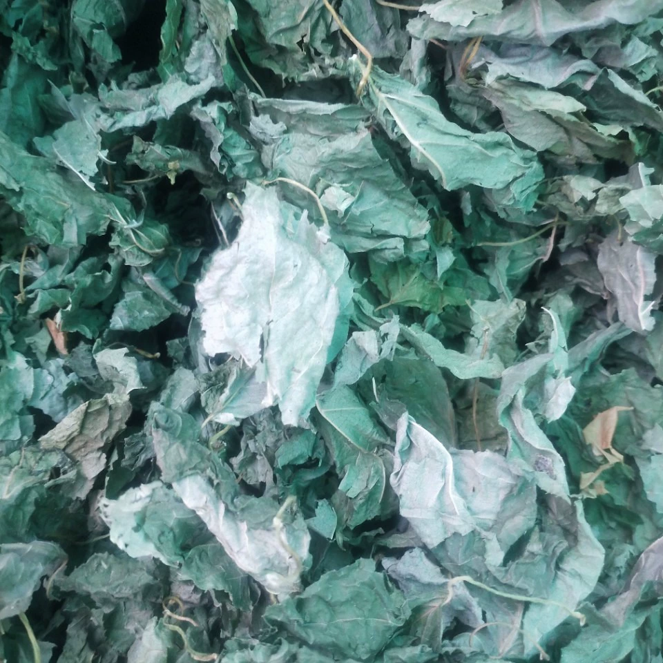 Оптовые деревянные листья полигонума, лакомства для кошек, игрушки для кошек