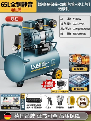 Hava kompressorları – woodworking high-pressure air pump - 65ldual-solenoid-valves-intelligent-startstopluxury-model