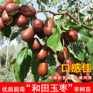 �ش��������޽Ӷ������J���������������ͥԺ�ϱ����Nֲ