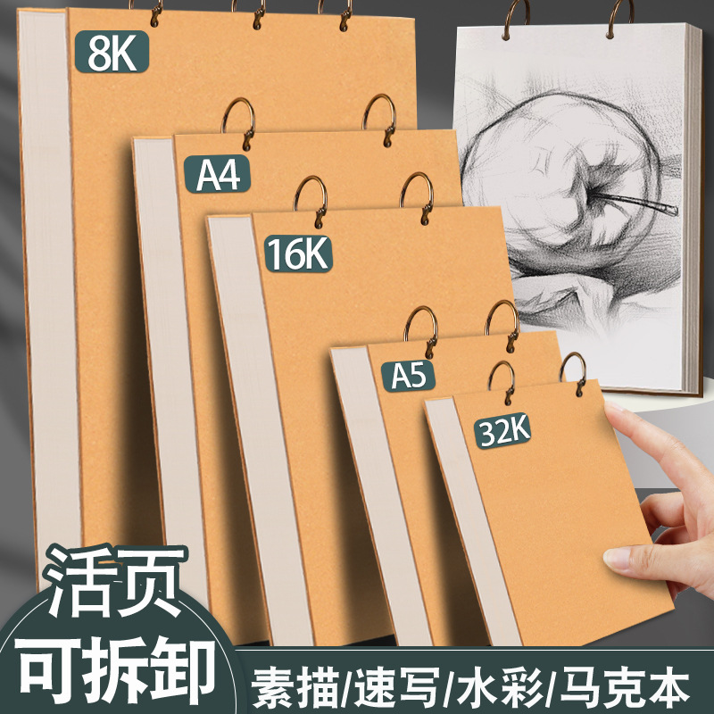 Loose-leaf Sketchbook Removable Drawing Drawing Drawing Book for Primary School Students A4 Art Hard Shell Drawing Book Children's Kindergarten