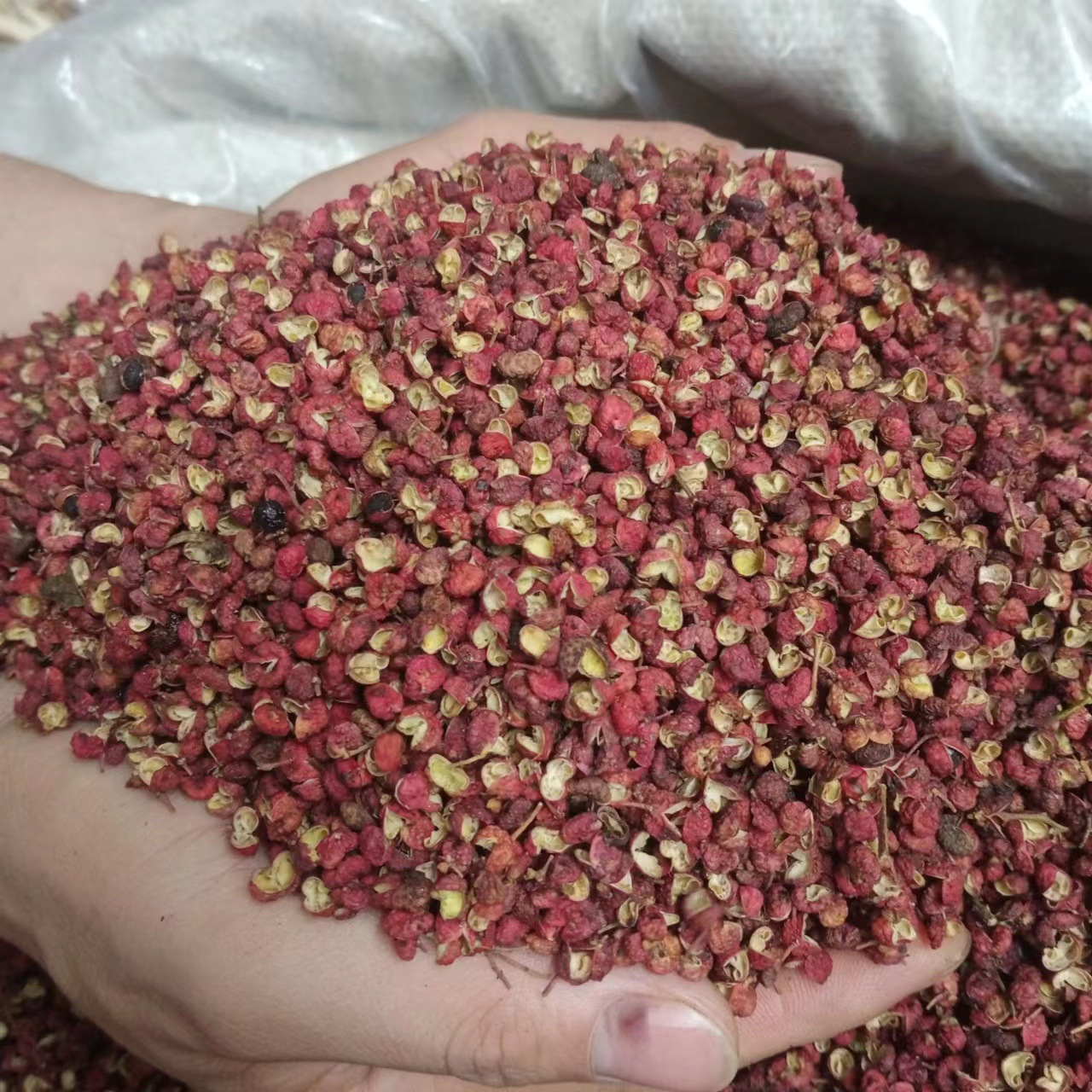 微信图片_20221106201227