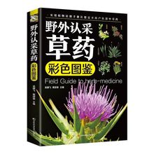 野外认知草药彩色图鉴实用植物识别手册200多种野外常见书