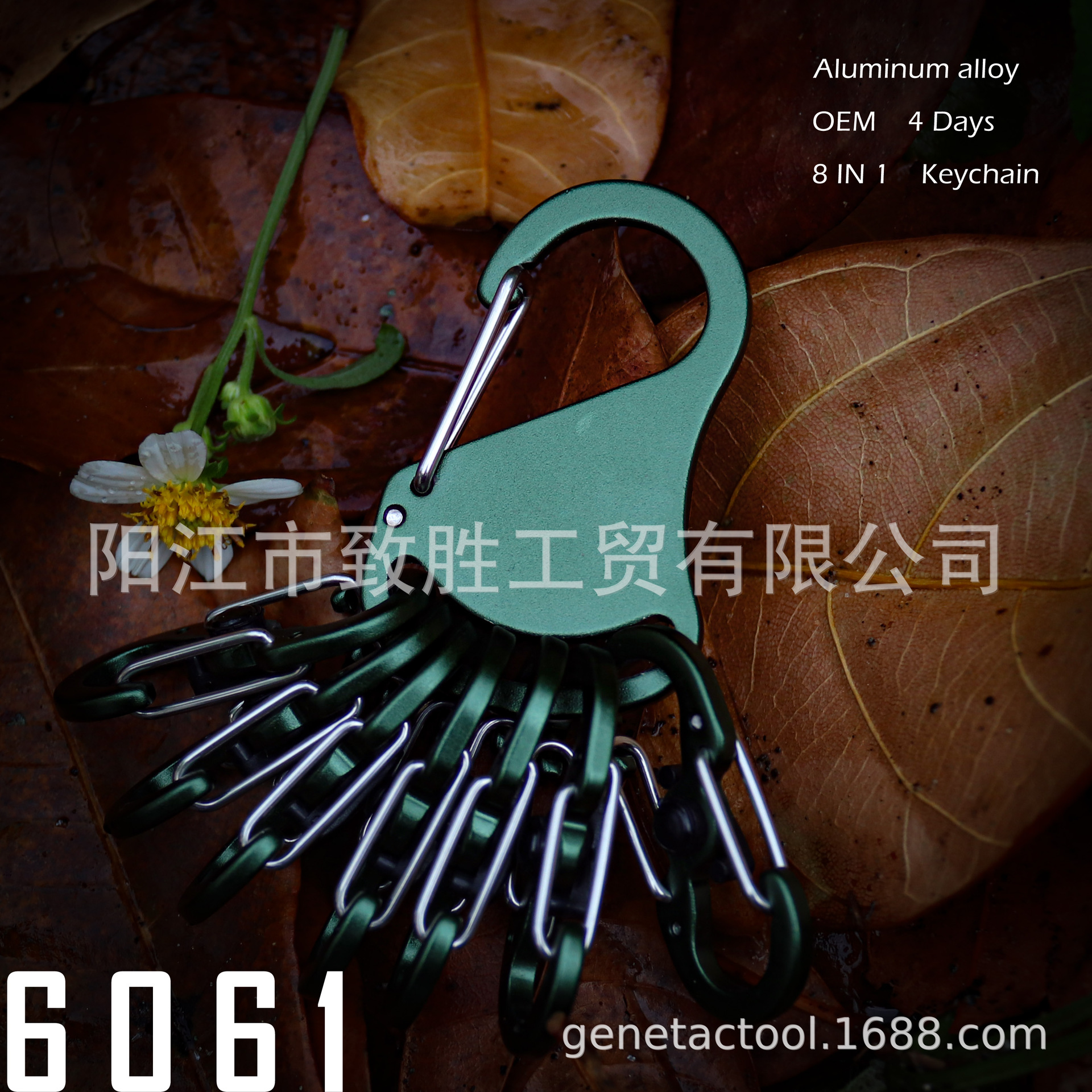 Colorful transparent plastic horoscope mountaineering buckle promotional gifts small feet suit key chain storage