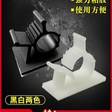 {ʽ̶ ճʽ늾̶ 侀 늾A CAAP